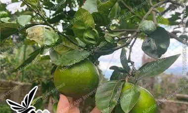 “¡No busques más! Esta casa lo tiene TODO 💎