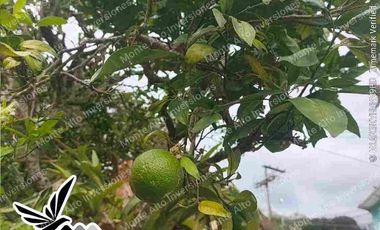 “¡No busques más! Esta casa lo tiene TODO 💎