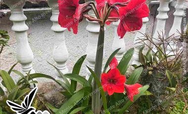 “¡No busques más! Esta casa lo tiene TODO 💎