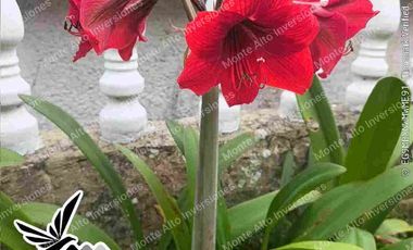 “¡No busques más! Esta casa lo tiene TODO 💎