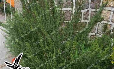 “¡No busques más! Esta casa lo tiene TODO 💎