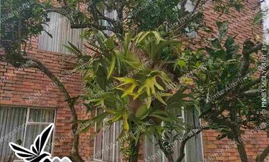 “¡No busques más! Esta casa lo tiene TODO 💎