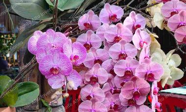 “¡No busques más! Esta casa lo tiene TODO 💎