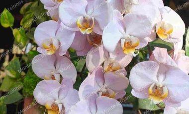 “¡No busques más! Esta casa lo tiene TODO 💎