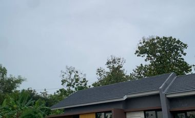 ✨🏡 NEW YEAR, NEW HOPE🏡✨