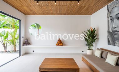 Brand New Modern Tropical Villa in Sanur
