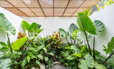 Brand New Modern Tropical Villa in Sanur