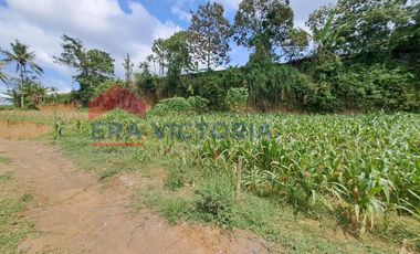 Investasi Menarik! Tanah SHM Siap Bangun Dekat Fasilitas Umum & Kawasan Edukasi Tajinan