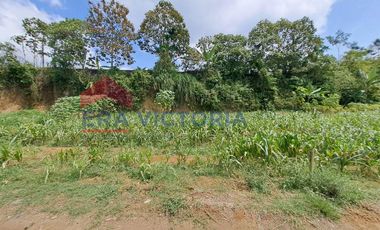 Investasi Menarik! Tanah SHM Siap Bangun Dekat Fasilitas Umum & Kawasan Edukasi Tajinan