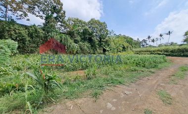 Investasi Menarik! Tanah SHM Siap Bangun Dekat Fasilitas Umum & Kawasan Edukasi Tajinan