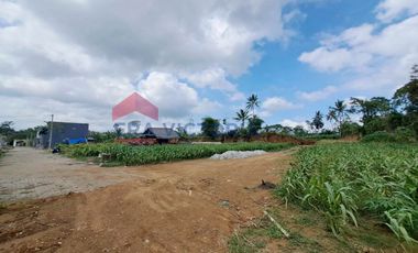 Investasi Menarik! Tanah SHM Siap Bangun Dekat Fasilitas Umum & Kawasan Edukasi Tajinan