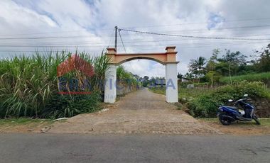 Investasi Menarik! Tanah SHM Siap Bangun Dekat Fasilitas Umum & Kawasan Edukasi Tajinan