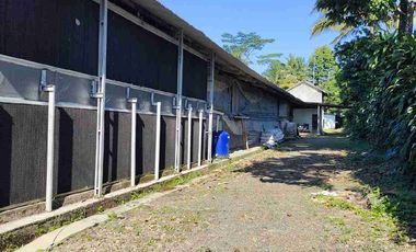 jual kandang ayam boiler ( ayam potong)