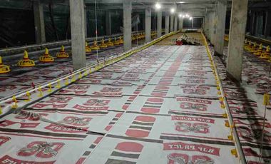 jual kandang ayam boiler ( ayam potong)