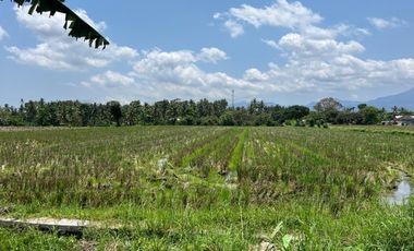Affordable and strategically located rice paddy land near LCC in Bertais
