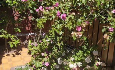 Casa en sector tranquilo con buenas vías de acceso