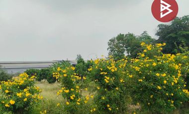 ขายที่ดินสวย เนื้อที่ 4 ไร่ 2 งาน 20 ตารางวา นครปฐม ทำเลดี