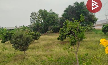 ขายที่ดินสวย เนื้อที่ 4 ไร่ 2 งาน 20 ตารางวา นครปฐม ทำเลดี