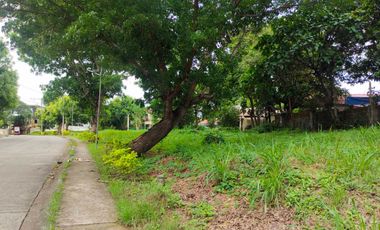 Lot For Sale in Fairway View Filinvest 210s.qm Brgy. Salawag Dasma Cavite near Orchard Golf Course
