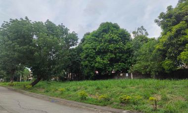 Lot For Sale in Fairway View Filinvest 210s.qm Brgy. Salawag Dasma Cavite near Orchard Golf Course