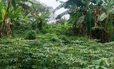 DISEWAKAN TANAH STRATEGIS DI PEKAYON BEKASI