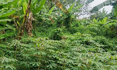 DISEWAKAN TANAH STRATEGIS DI PEKAYON BEKASI