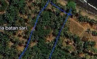 freehold tejakula Buleleng bali utara