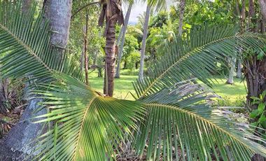 freehold tejakula Buleleng bali utara