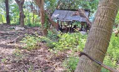 freehold tejakula Buleleng bali utara