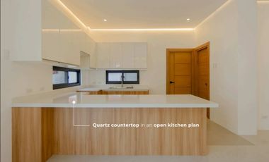 FOR SALE – House and Lot in Trevi Executive Village, Marikina PP CODE 3322