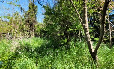 Excelente terreno en en mejor sector residencial de Chiguayante