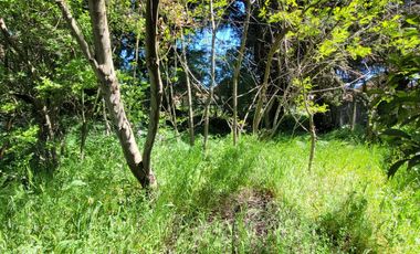 Excelente terreno en en mejor sector residencial de Chiguayante