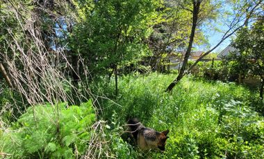 Excelente terreno en en mejor sector residencial de Chiguayante