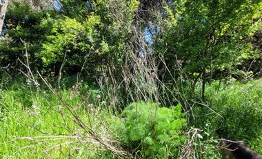 Excelente terreno en en mejor sector residencial de Chiguayante
