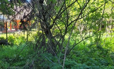 Excelente terreno en en mejor sector residencial de Chiguayante