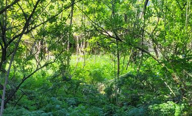 Excelente terreno en en mejor sector residencial de Chiguayante