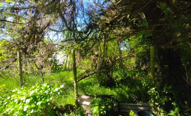 Excelente terreno en en mejor sector residencial de Chiguayante