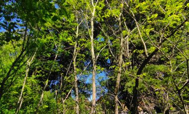 Excelente terreno en en mejor sector residencial de Chiguayante