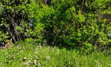 Excelente terreno en en mejor sector residencial de Chiguayante