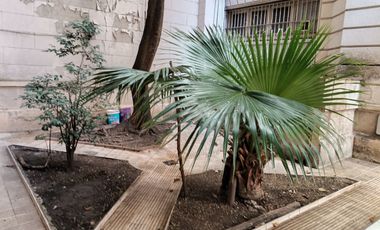 ALQUILER DE DEPARTAMENTO