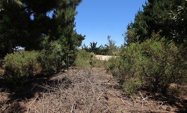 Se Vende Hermosa Casa en Pasaje Los Boldos, El Tabo