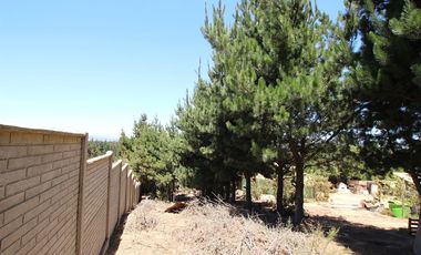 Se Vende Hermosa Casa en Pasaje Los Boldos, El Tabo