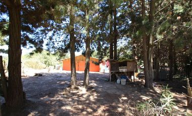 Se Vende Hermosa Casa en Pasaje Los Boldos, El Tabo