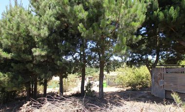 Se Vende Hermosa Casa en Pasaje Los Boldos, El Tabo