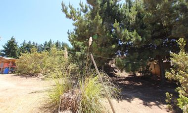 Se Vende Hermosa Casa en Pasaje Los Boldos, El Tabo