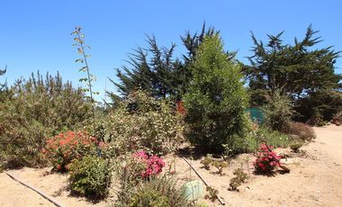 Se Vende Hermosa Casa en Pasaje Los Boldos, El Tabo