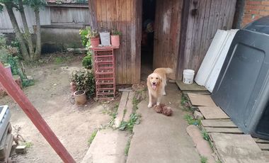 Gran Patio 3d 1B Estacionamiento Bodega