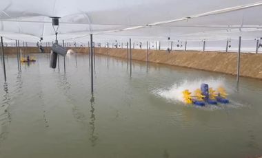 Venta Camaronera intensiva en Chanduy 100 hectáreas - N21