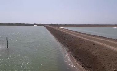 Venta Camaronera intensiva en Chanduy 100 hectáreas - N21