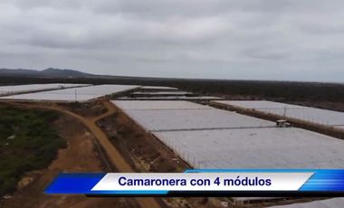 Venta Camaronera intensiva en Chanduy 100 hectáreas - N21